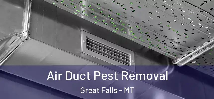  Air Duct Pest Removal Great Falls - MT