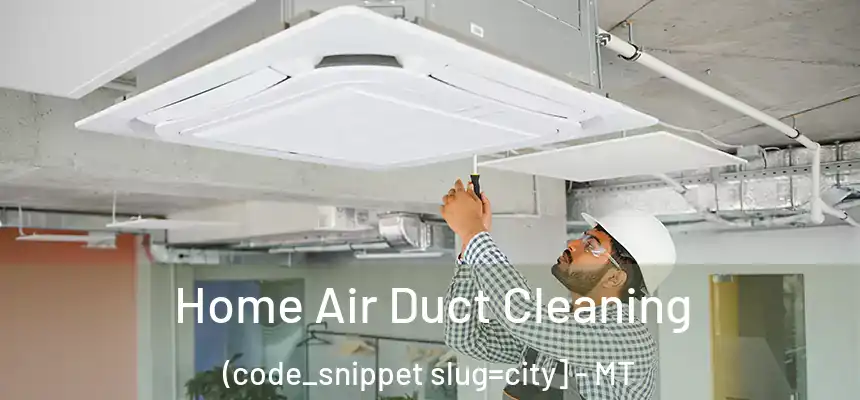  Home Air Duct Cleaning (code_snippet slug=city] - MT