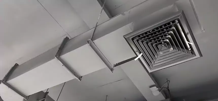 Our Pest Removal From Ducts Services in Great Falls, MT