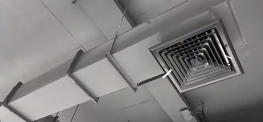 Our Rodent Droppings In Vents Services in Great Falls, MT