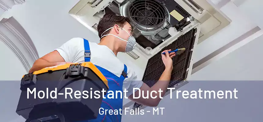  Mold-Resistant Duct Treatment Great Falls - MT