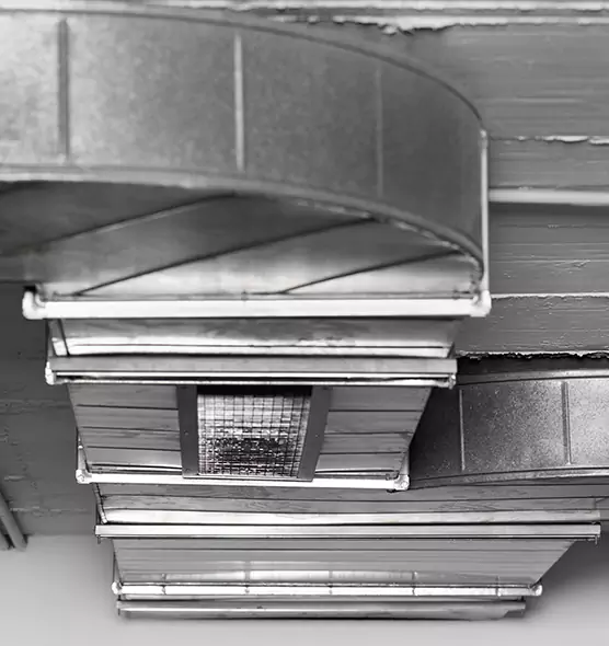 Professional Air Duct Pet Hair Removal in Great Falls, MT