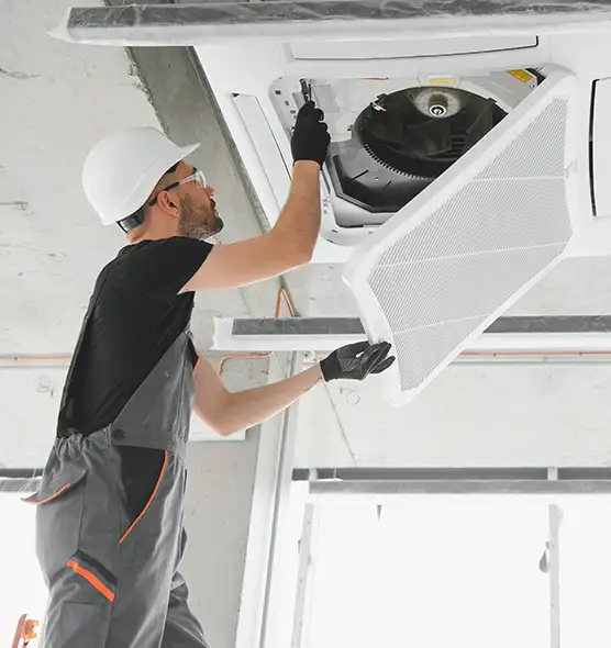 About Air Duct Rodent Removal in Great Falls, MT