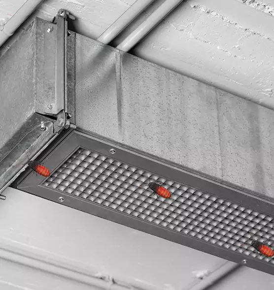 Affordable Insect Removal from Air Ducts in Great Falls, MT