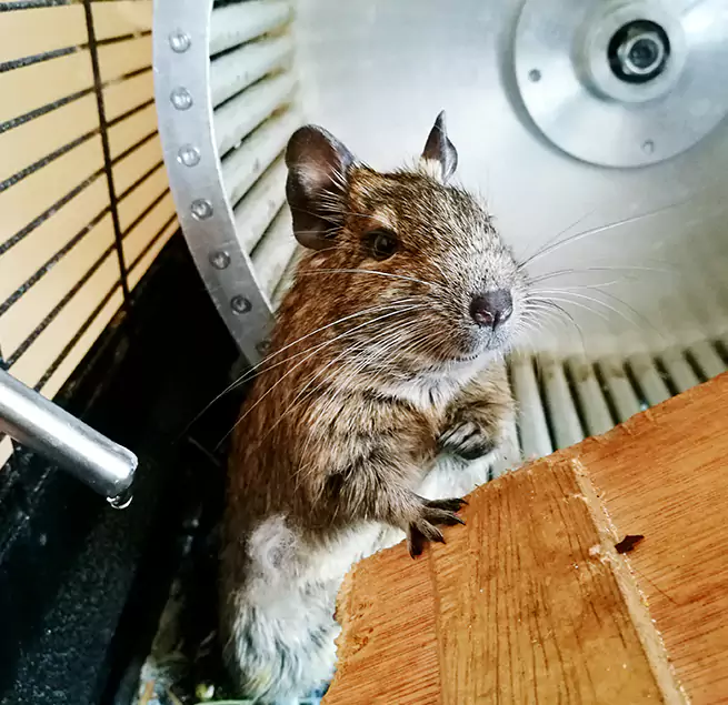 Why Homeowners & Businesses Trust Us Great Falls, MT